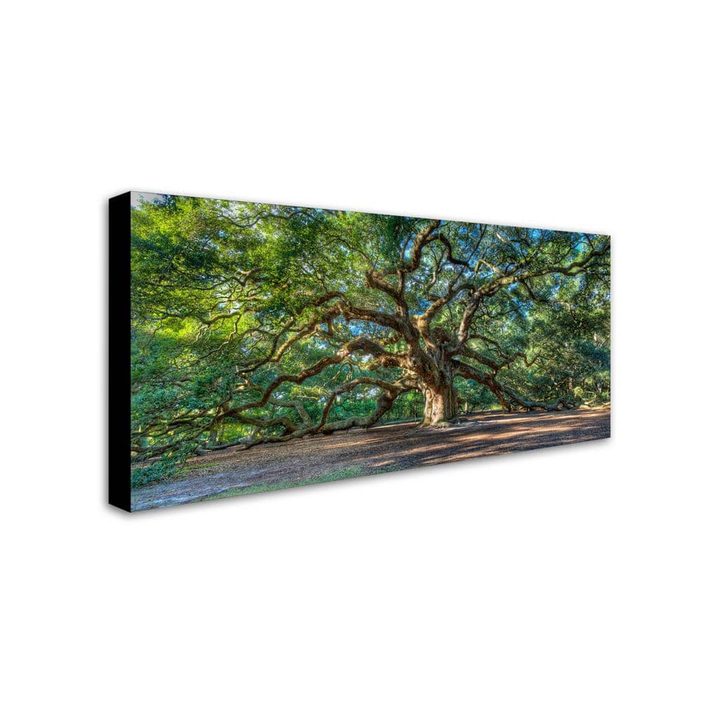 Angel Oak Charleston Large Landscape Canvas Wall Art