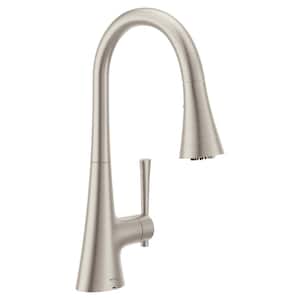 Kurv Single Handle Pull-Down Sprayer Kitchen Faucet with Optional 3- in -1 Water Filtration in Spot Resist Stainless
