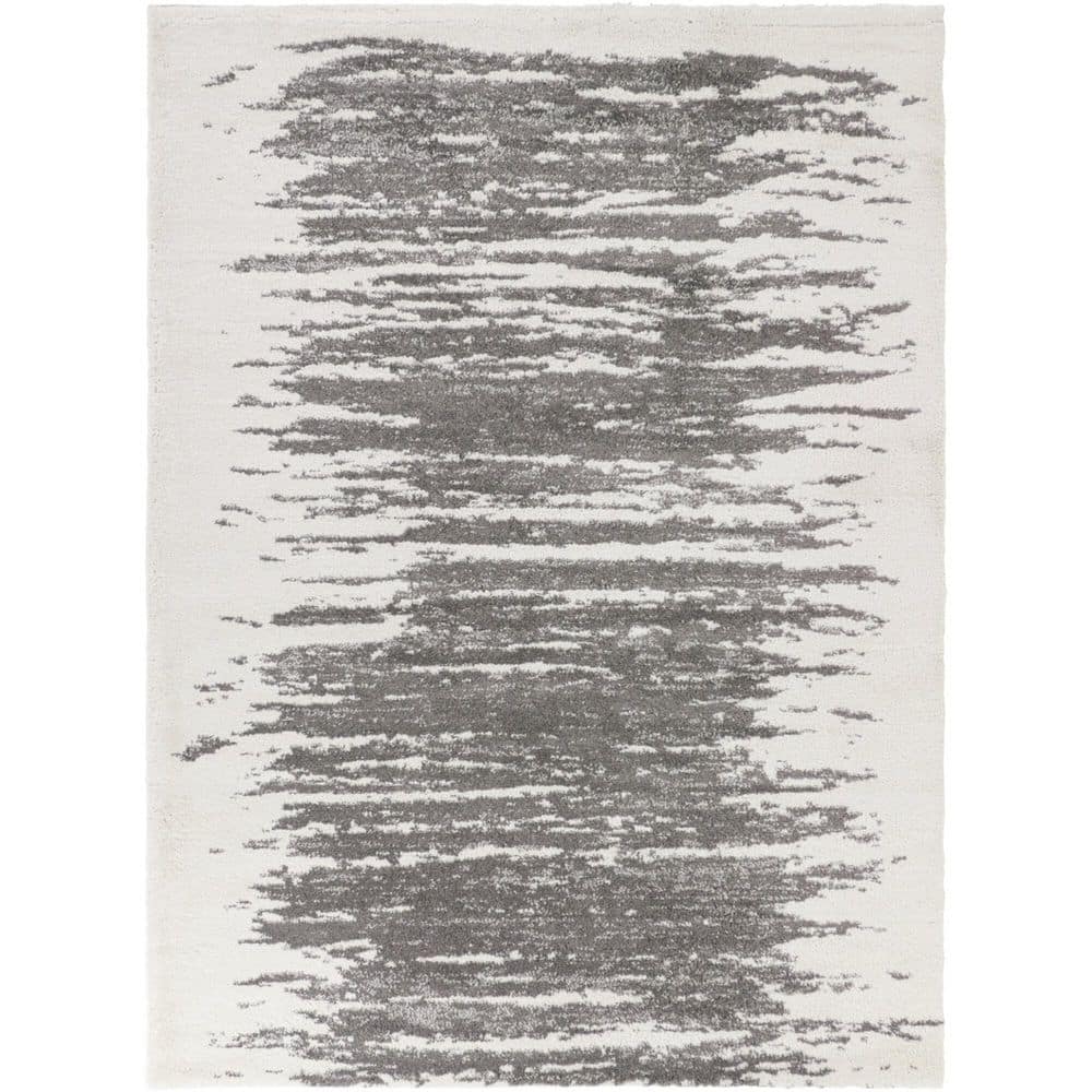 Eryx 5 ft. x 7 ft. Charcoal Area Rug price history on PriceWatchPro