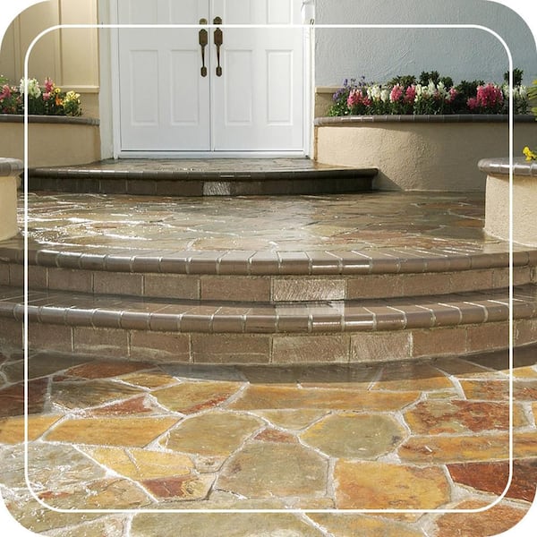 2 gal. Bleach and Deck Sprayer with 1 gal. Wet Look Sealer Combo