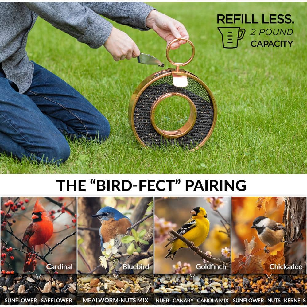 Copper and Black Hanging Circular Bird Feeder with Mesh