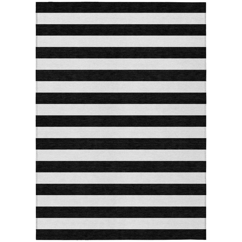 Black and White 3 ft. x 5 ft. Woven Striped Polyester Rectangle Indoor/Outdoor Area Rug price history on PriceWatchPro