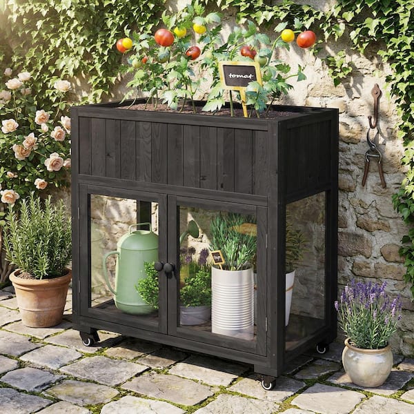 35 in. W x 18 in. D x 37 in. H Black Wood Portable Greenhouse Mini