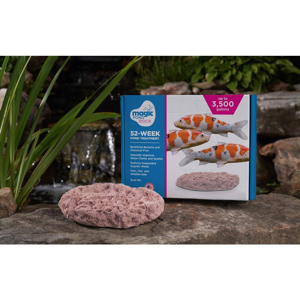 Large Nano-Porous Pink Pond Clarifier Rock
