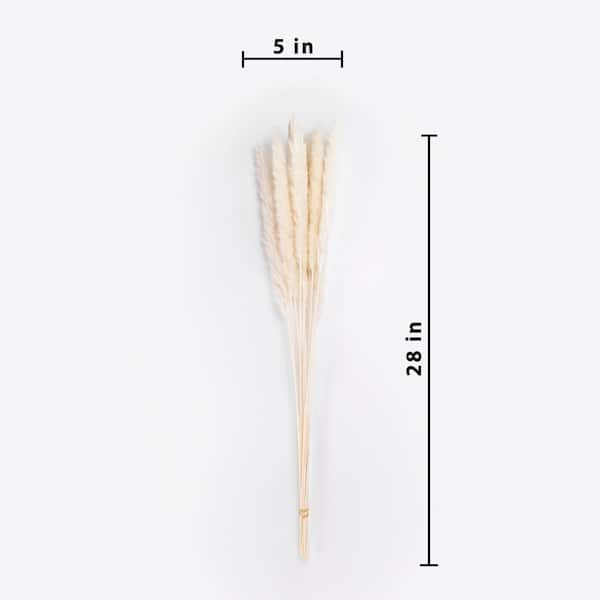 Bindle & Brass 23 in. Green Dried Natural Baby's Breath Spring (3-pack)