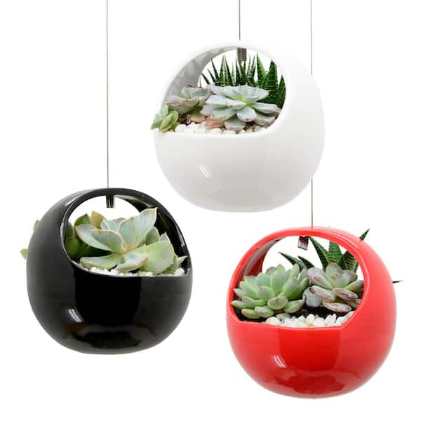 Arcadia Garden Products AP01GW Arcadia Air Planter, Basket Style, Glossy White