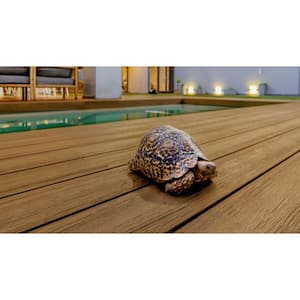 Infinity IS 1 in. x 6 in. x 8 ft. Oasis Palm Brown Composite Square Deck Boards (2-Pack)