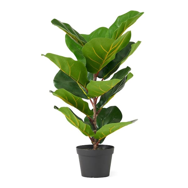 INNOBULE 25.5 in. H Green Artificial Fiddle Leaf Banyan Tree in Black Pot