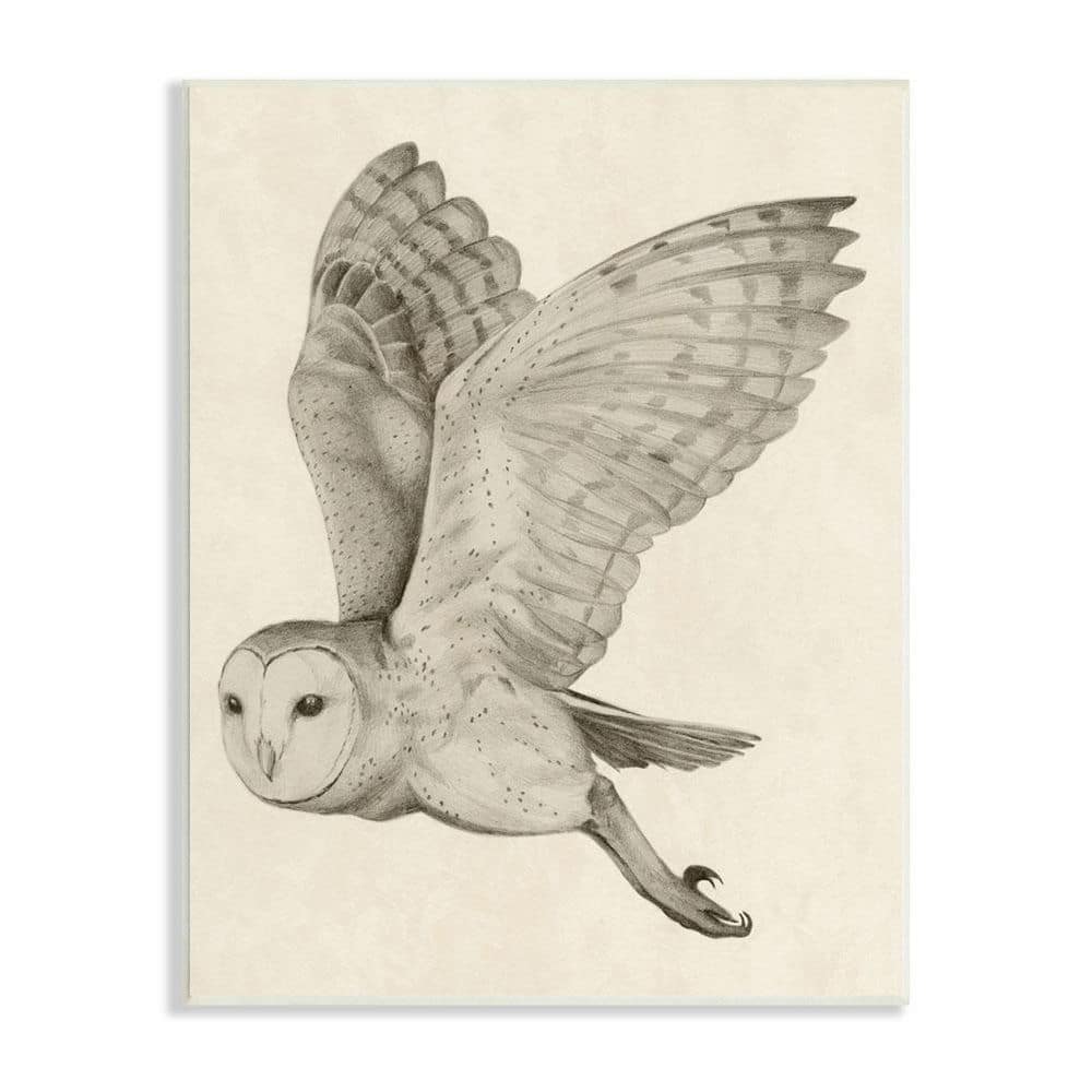 The Stupell Home Decor Collection Flying Barn Owl Wings Detailed Monochrome  Drawing by Grace Popp Unframed Animal Art Print 19 in. x 13 in.  al-796_wd_13x19 - The Home Depot