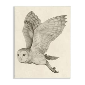 Flying Barn Owl Wings Detailed Monochrome Drawing by Grace Popp Unframed Animal Art Print 19 in. x 13 in.