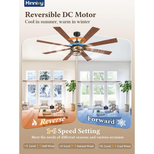 HINNIXY 65 in. Black Farmhouse Indoor/Outdoor Ceiling Fan with