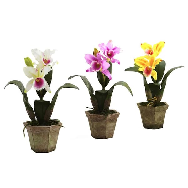 Nearly Natural Cattelya Orchid with Vase (Set of 3)