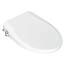 https://images.thdstatic.com/productImages/4295d93a-803a-4bc2-a269-dd487f185986/svn/white-bemis-bidet-toilet-seats-hd-5000e-64_65.jpg