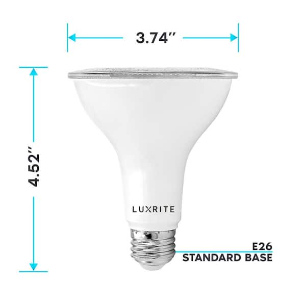 PHILIPS Hue Base E14 6.5-Watt (White and color ambiance) Smart Bulb Price  in India - Buy PHILIPS Hue Base E14 6.5-Watt (White and color ambiance)  Smart Bulb online at