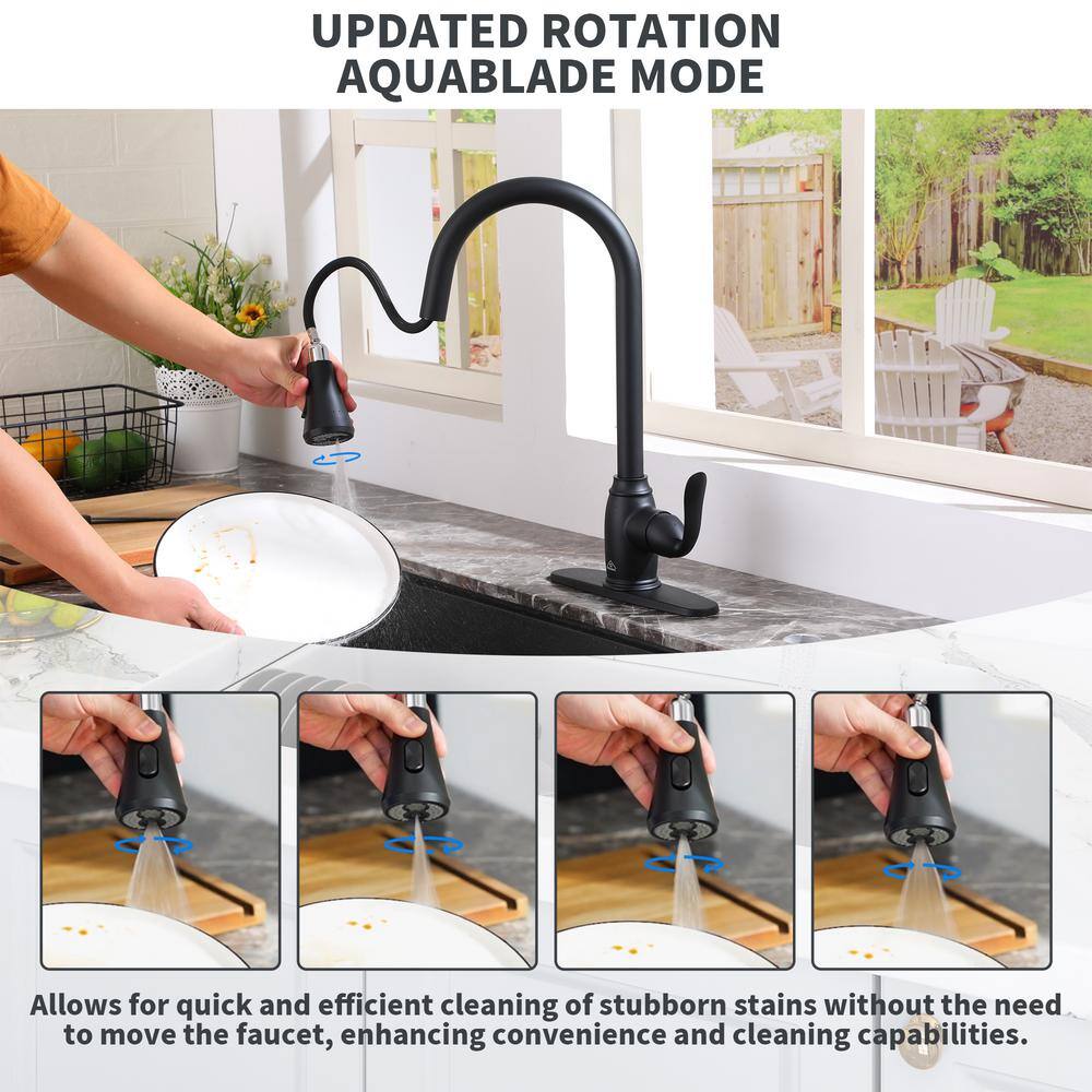Matte Black Stainless Steel Pull-Down Kitchen Faucet with Spray