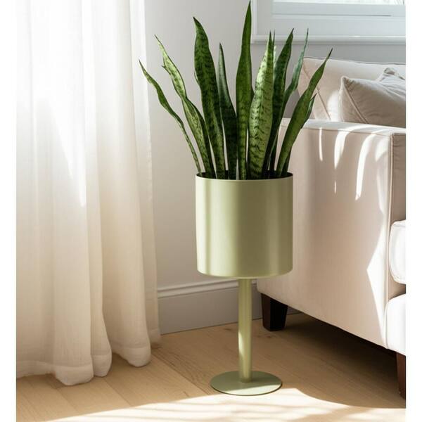 Liv & Skye 6 in. x 6 in. Green Metal Round Modern Decorative Pot with Flat  Base 17429-02