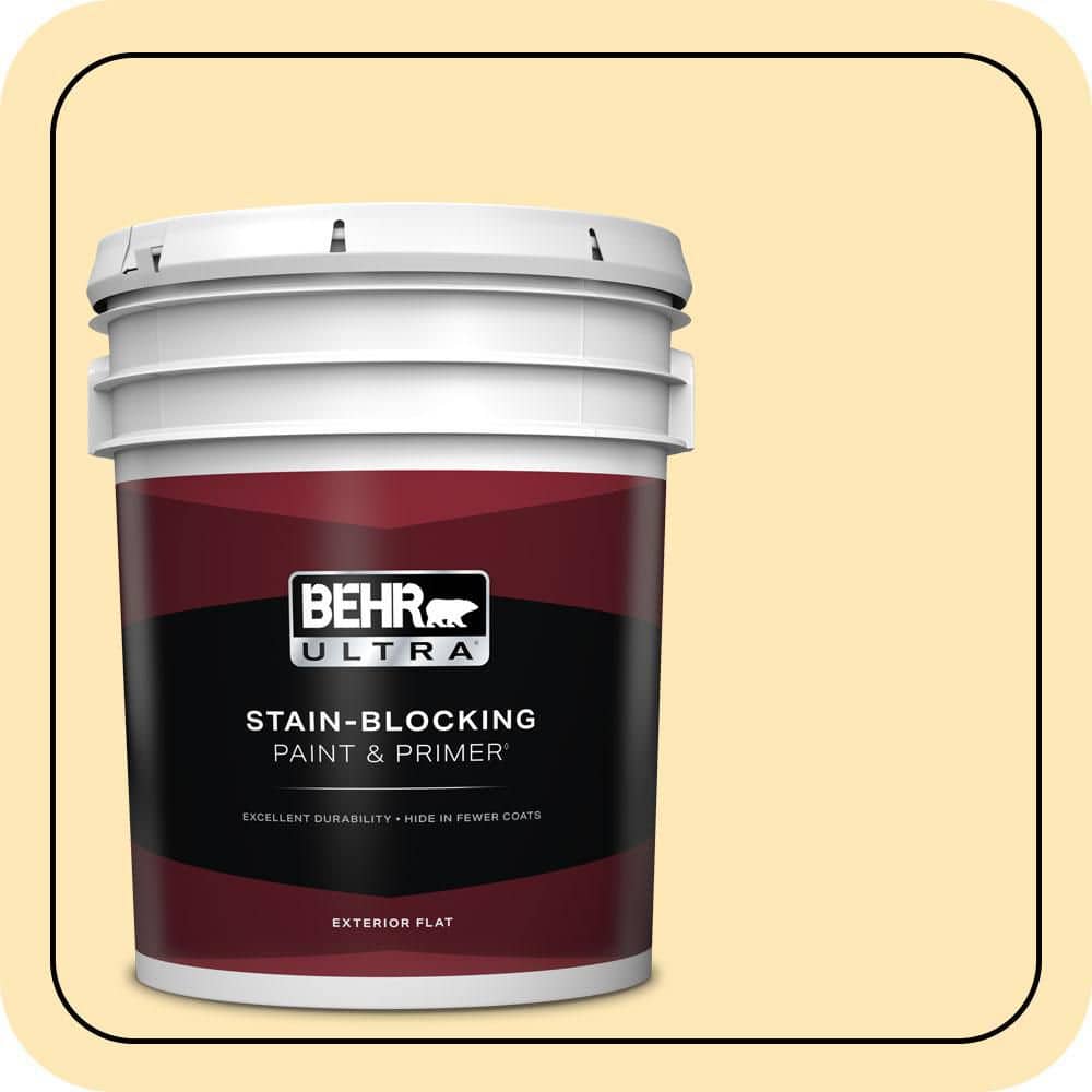 5 gal. #320A-3 Cornsilk Flat Exterior Paint & Primer product image for price tracking