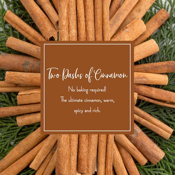 Scented Ornaments, 6ct Bottle, 2 Dashes of Cinnamon, Fragrance-Infused Paper Sticks, 2 Pack