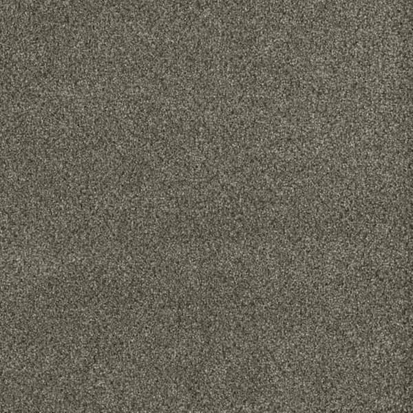 8 in. x 8 in. Texture Carpet Sample-Soft Breath Plus III-Color Arcadia