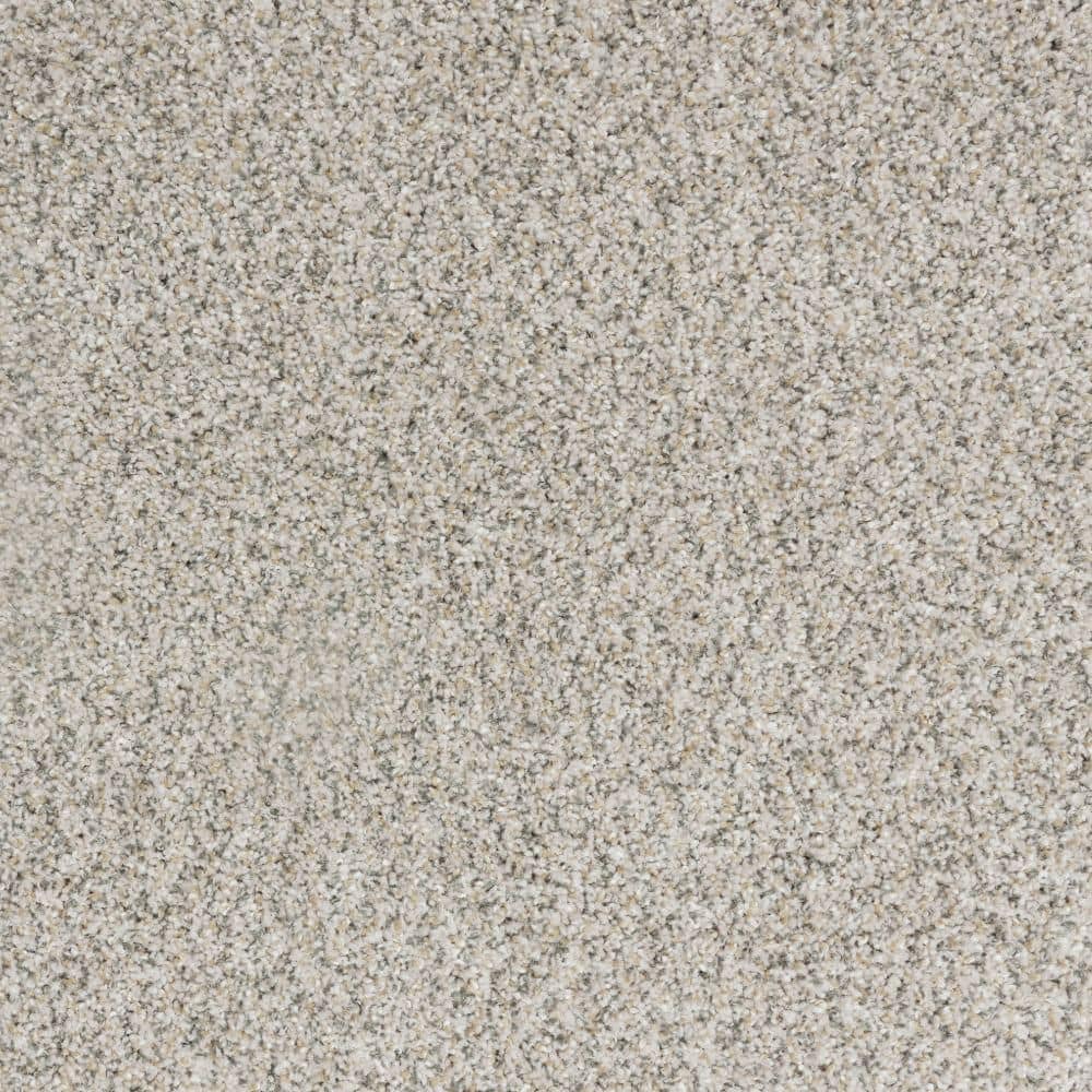 8 in. x 8 in. Texture Carpet Sample-Bolter I-Color Ember price history on PriceWatchPro