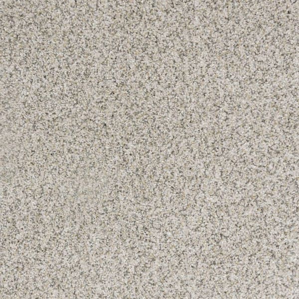 Lifeproof with Petproof Technology 8 in. x 8 in. Texture Carpet Sample-Bolter I-Color Ember