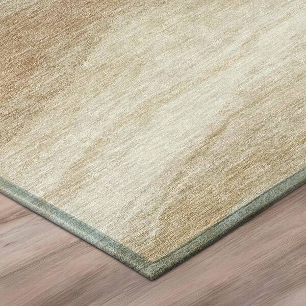 Chantille Machine Washable Indoor/Outdoor Abstract ACN3020 Ivory 10 ft. x 14 ft. Area Rug