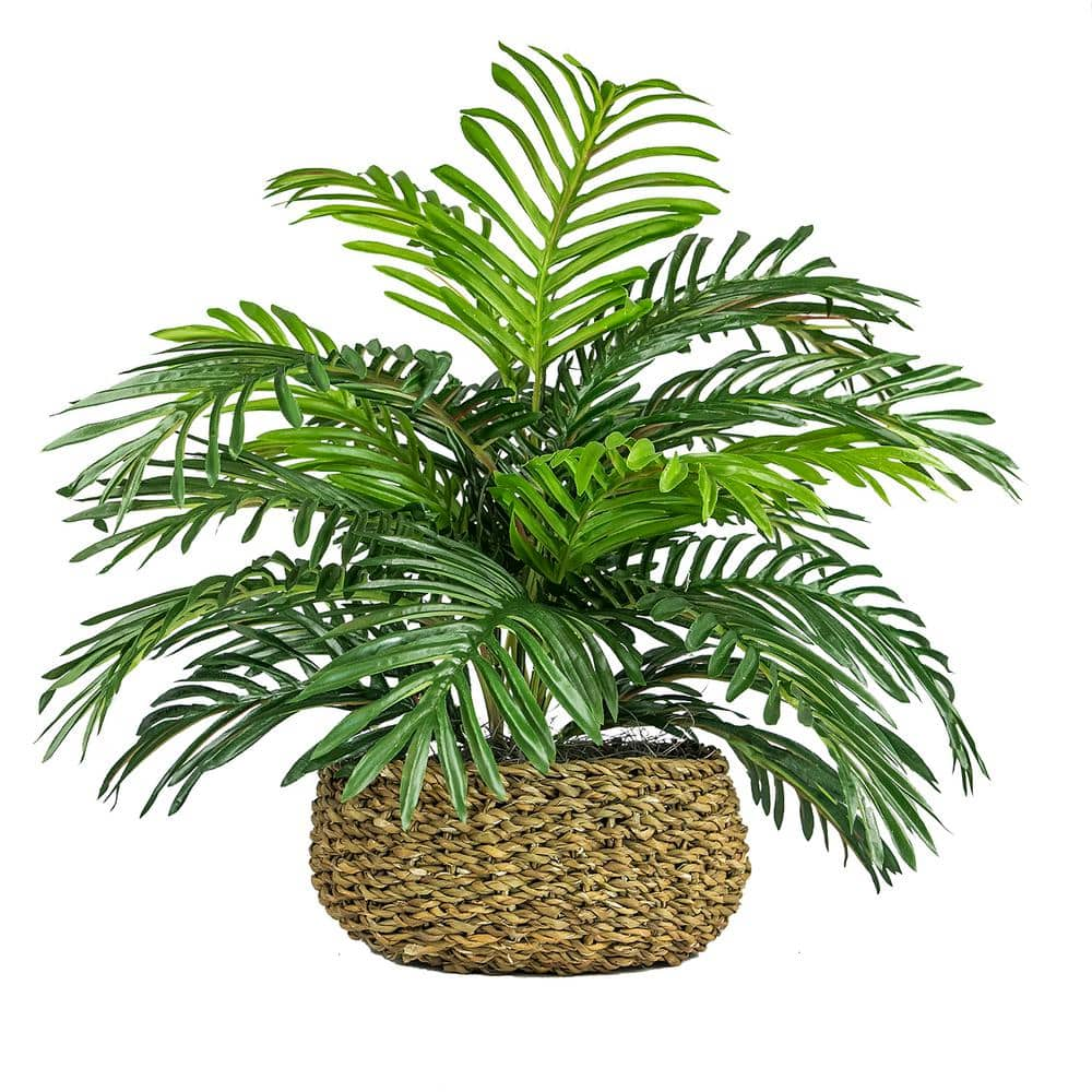 LCG SALES INC 14 in. Artificial Palm in Low Basket Planter 19G200 - The  Home Depot