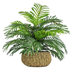 14 in. Artificial Palm in Low Basket Planter