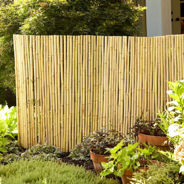 6 ft. H x 8 ft. W Natural Bamboo Fence