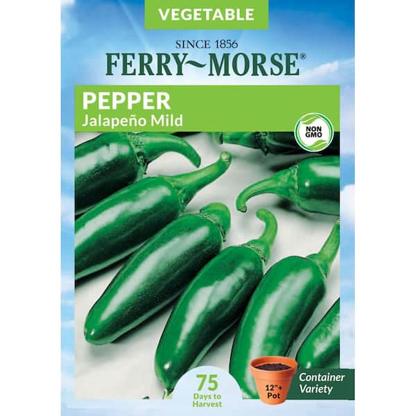 Ferry-Morse Pepper Jalapeno M Fruit Seed