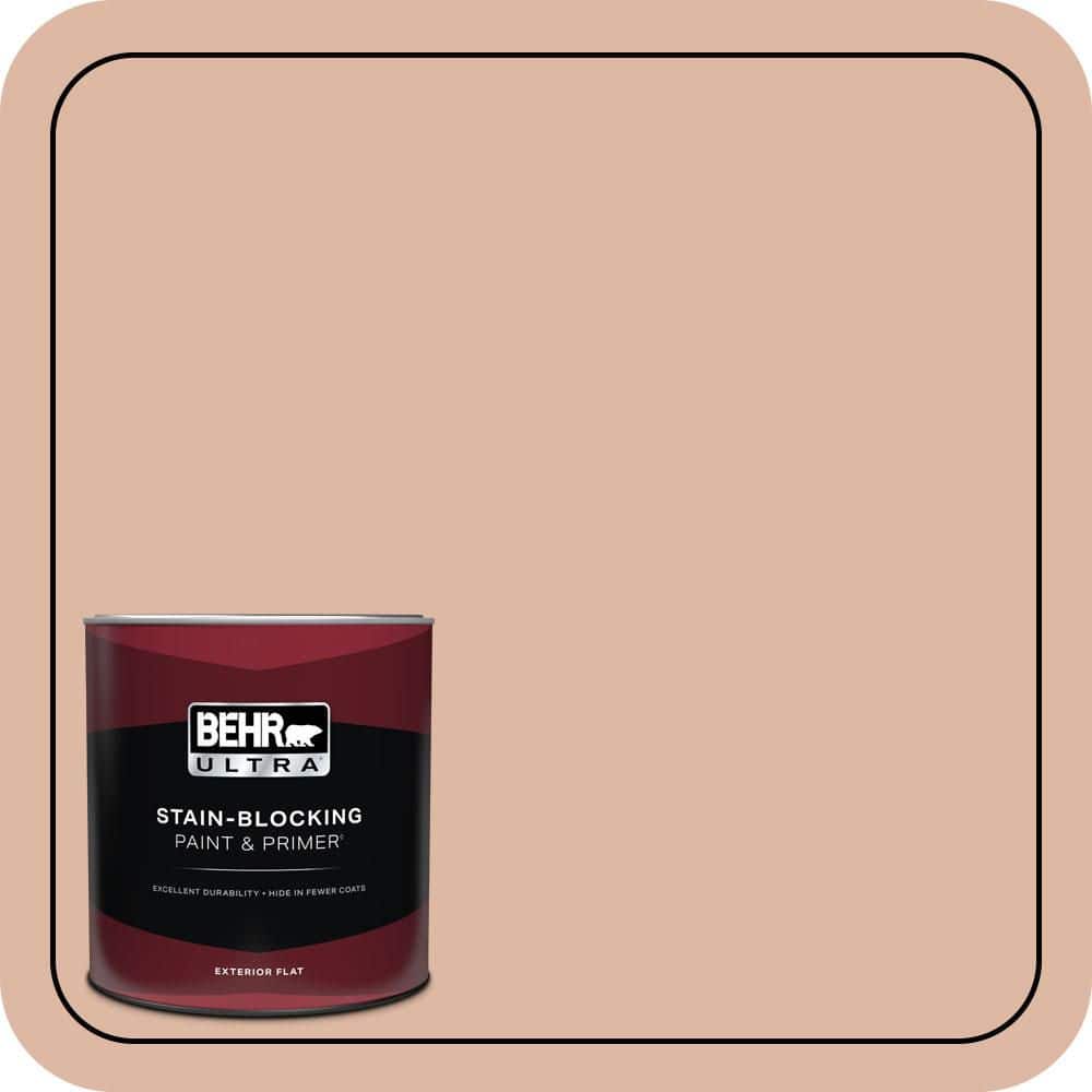 1 qt. #ECC-60-1 Coral Bay Flat Exterior Paint & Primer product image for price tracking