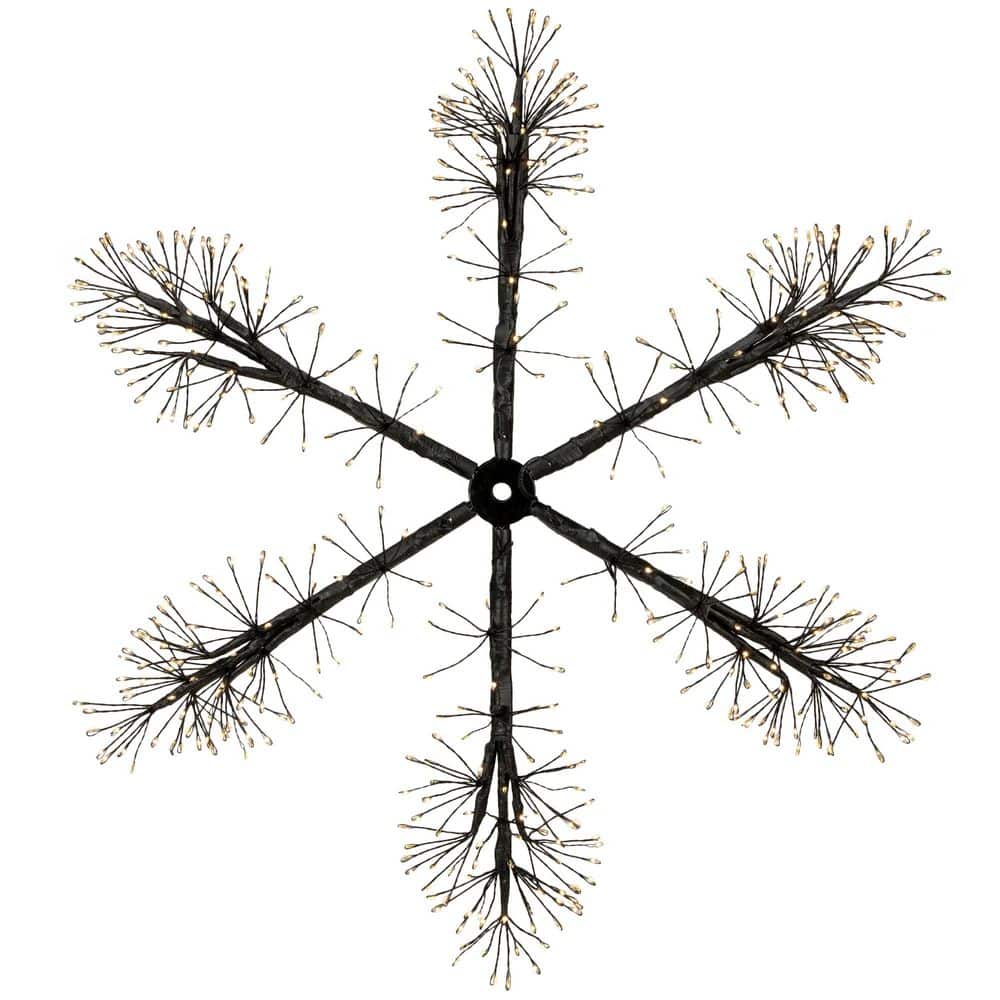 Northlight 24