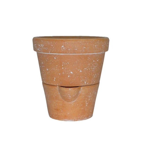 MPG 8 in. Dia White Wash Terracotta Self Watering Planter