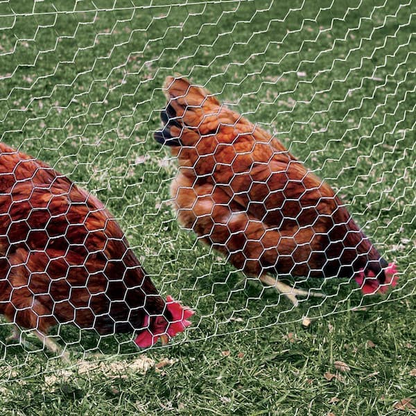 Everbilt - 1 in. Mesh 4 ft. x 25 ft. 20-Gauge Galvanized Steel Poultry Netting