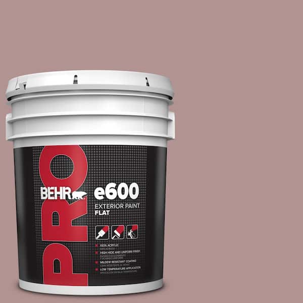 BEHR PRO 5 gal. #MQ1-46 Antoinette Exterior Flat Paint