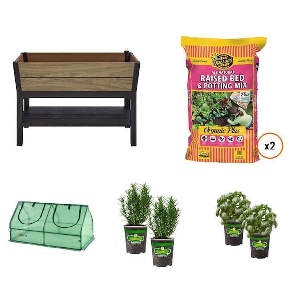 44 in. Resin Planter, Potting Mix, Cloche, Rosemary and Basil Plant 2-Pack Combo