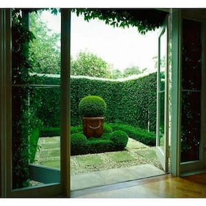 Gorgeous Home Artificial Boxwood Hedge Greenery Panels Dark Green 20 in. x 20 in. / Piece (Set of 24-Piece)