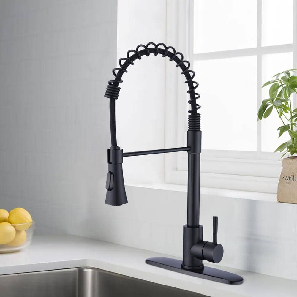 Matte Black Stainless Steel Pull-Down Kitchen Faucet with Deck Plate