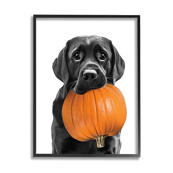 Stupell Industries Lab Dog with Pumpkin by Annalisa Latella 1-Piece Framed Graphic Print Animal Poster Art Print 30 in. x 24 in.