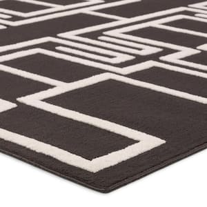 Odion 4 ft. x 6 ft. Black/White Geometric Indoor/Outdoor Area Rug