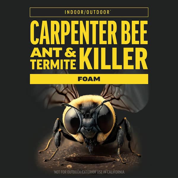 AMDRO Quick Kill 18 oz. Indoor and Outdoor Carpenter Bee, Ant and