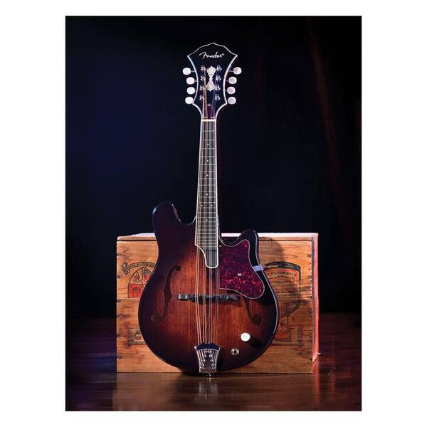 Trademark Fine Art 24 in. x 32 in. Fender Mandolin Canvas Art