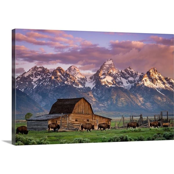 "A Herd of Buffalo Walk In Front of Mormon Barn, Jackson, Wyoming" by Joseph Roybal Canvas Wall Art
