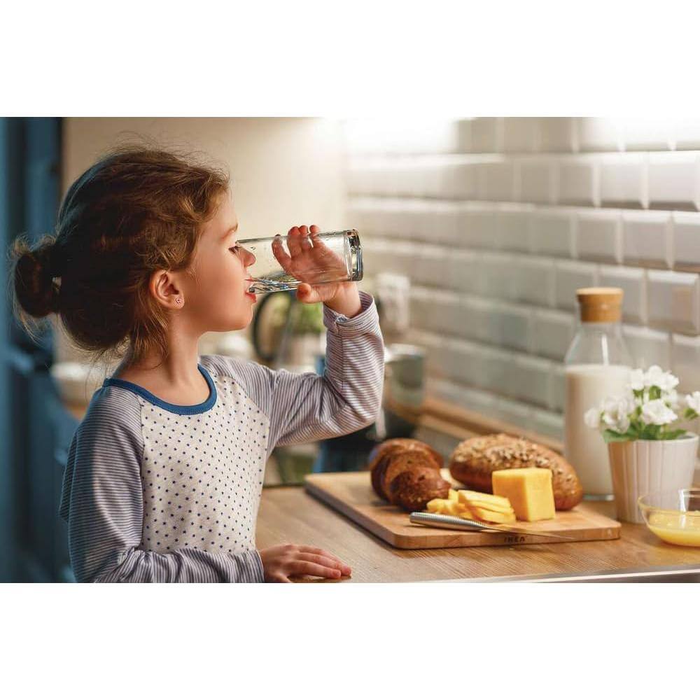 Frigidaire PureSource 2 Water and Ice Refrigerator Filter Set