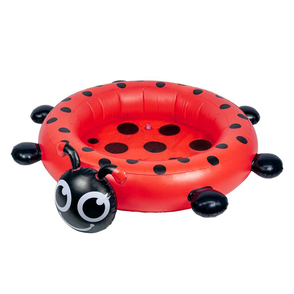 Ladybug Inflatable Round Kiddie Pool with Antennae