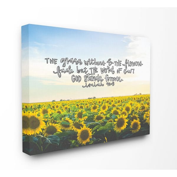 Stupell Industries 30 in. x 40 in."The Word of God Stands Forever Sunflower Field Photography" by Artist Valerie Wieners Canvas Wall Art