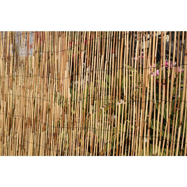 Backyard X Scapes 6 Ft H X 16 Ft L Bamboo Coffee Peeled Reed Fence Panel 2 Pack 20 C6 2 The Home Depot Backyard X Scapes 6 Ft H X 16 Ft L Bamboo Coffee Peeled Reed Fence Panel 2 Pack 20 C6 2 The Home Depot
