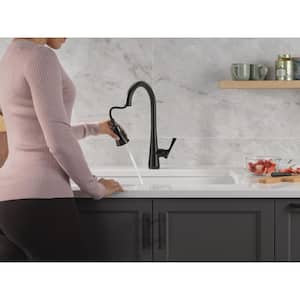 Banks Single-Handle Pull-Down Sprayer Kitchen Faucet with ShieldSpray in Matte Black