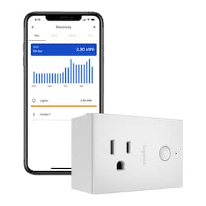 Defiant 15 Amp 120-Volt Indoor Smart Plug & Timer Wi-Fi Bluetooth Single  Outlet Powered by Hubspace HPPA11AWB - The Home Depot