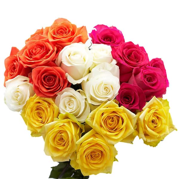 Globalrose 50 Stems Of Assorted Roses - 2 Different Colors- Fresh ...